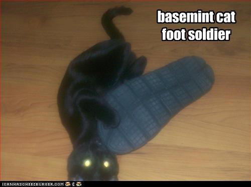 basemint cat foot soldier