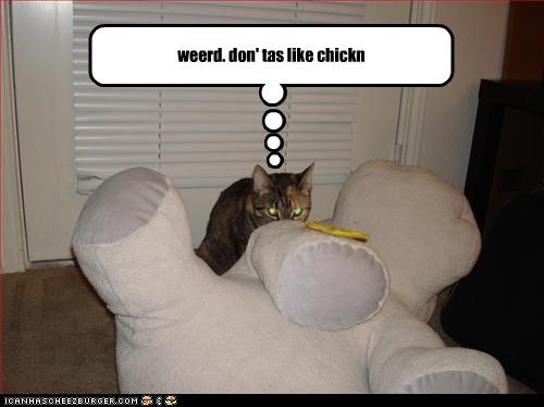 weerd. don' tas like chickn