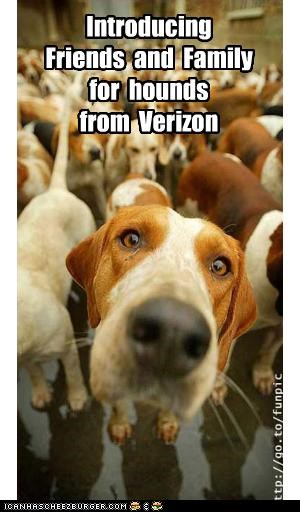 Introducing  
Friends  and  Family
for  hounds
from  Verizon
