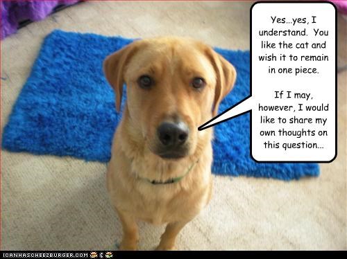 Yes...yes, I understand.  You like the cat and wish it to remain in one piece.

If I may, however, I would like to share my own thoughts on this question...