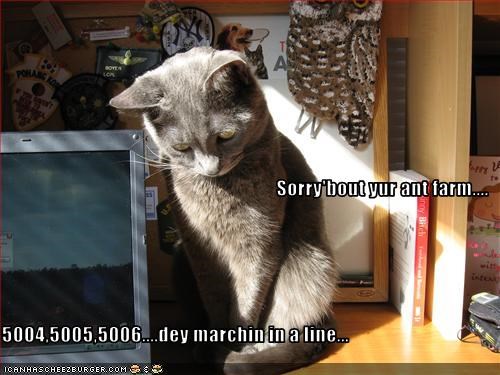 Sorry'bout yur ant farm.... 5004,5005,5006....dey marchin in a line...