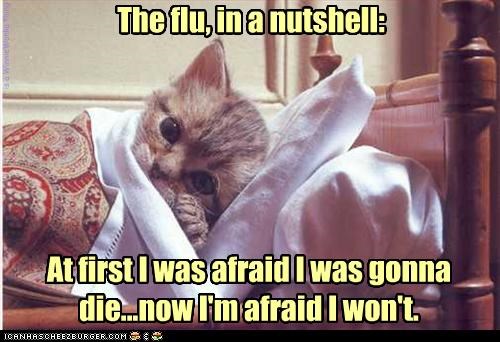 The flu, in a nutshell: