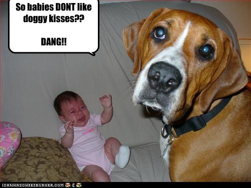 So babies DONT like doggy kisses??

DANG!!