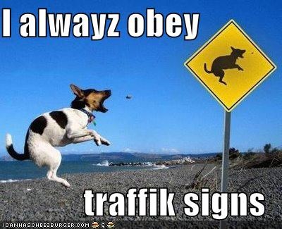 I alwayz obey  traffik signs