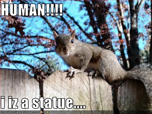 HUMAN!!!!  i iz a statue....