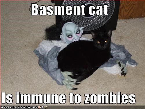 Basment cat  Is immune to zombies