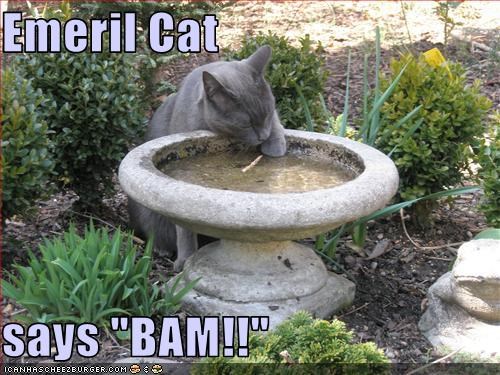 Emeril Cat  says "BAM!!"