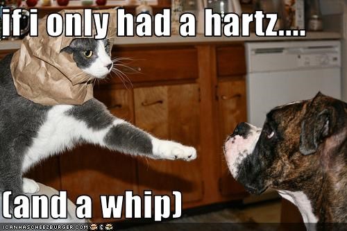 if i only had a hartz....  (and a whip)
