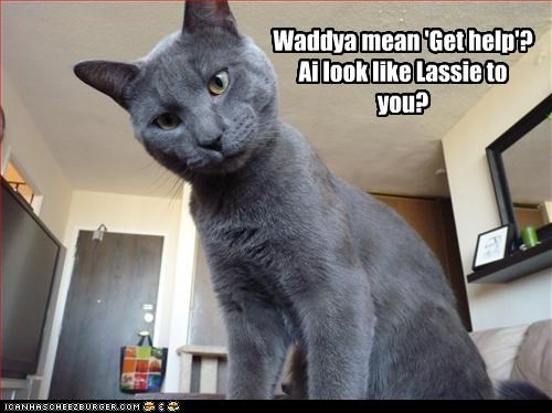Waddya mean 'Get help'? 
Ai look like Lassie to you?