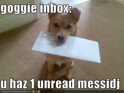 goggie inbox:  u haz 1 unread messidj