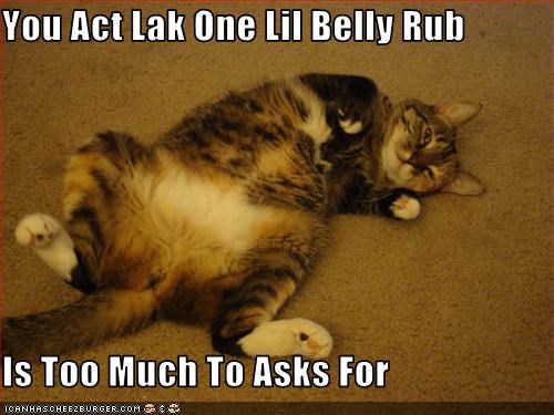 You Act Lak One Lil Belly Rub  Is Too Much To Asks For
