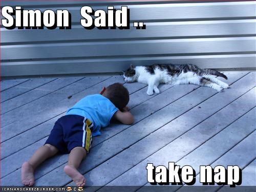Simon  Said ..                               take nap