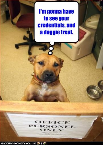 I'm gonna have to see your credentials, and a doggie treat.