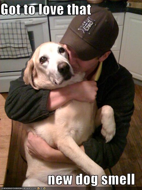 Got to love that  new dog smell