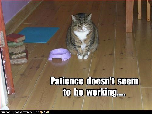 Patience  doesn't  seem  to  be  working.....