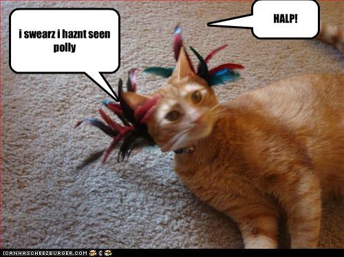 i swearz i haznt seen polly