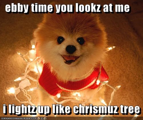 ebby time you lookz at me   i lightz up like chrismuz tree