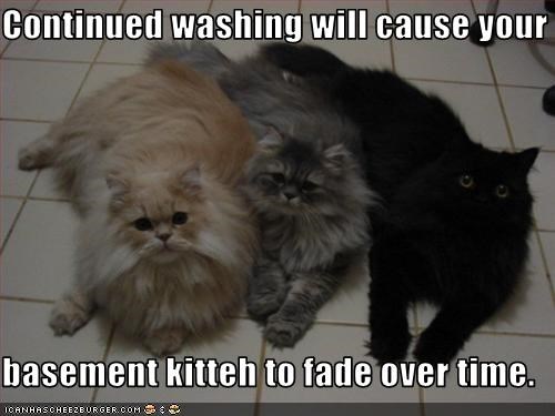 Continued washing will cause your  basement kitteh to fade over time.