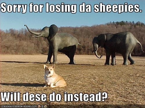 Sorry for losing da sheepies.  Will dese do instead?