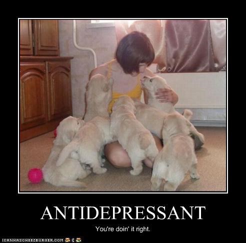 ANTIDEPRESSANT