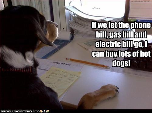 If we let the phone bill, gas bill and electric bill go, I can buy lots of hot dogs!
