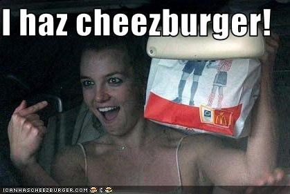 I haz cheezburger!