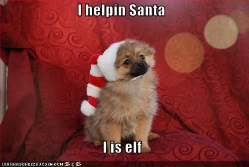 I helpin Santa  I is elf