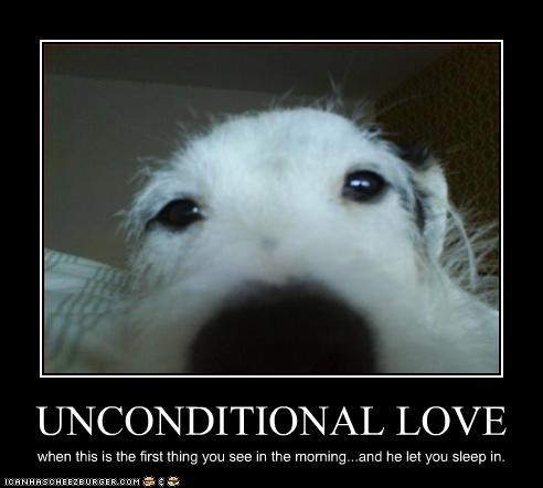 UNCONDITIONAL LOVE