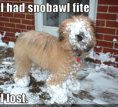 I had snobawl fite  I lost.
