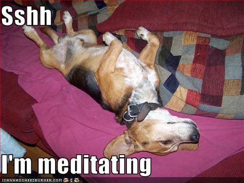 Sshh  I'm meditating