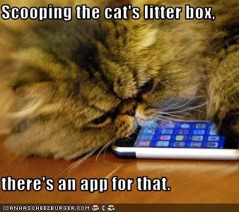 Scooping the cat's litter box,  there's an app for that.