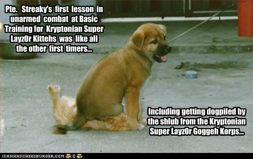 Pte.   Streaky's  first  lesson  in unarmed  combat  at Basic Training for  Kryptonian Super Layz0r Kittehs  was  like all the other  first  timers...