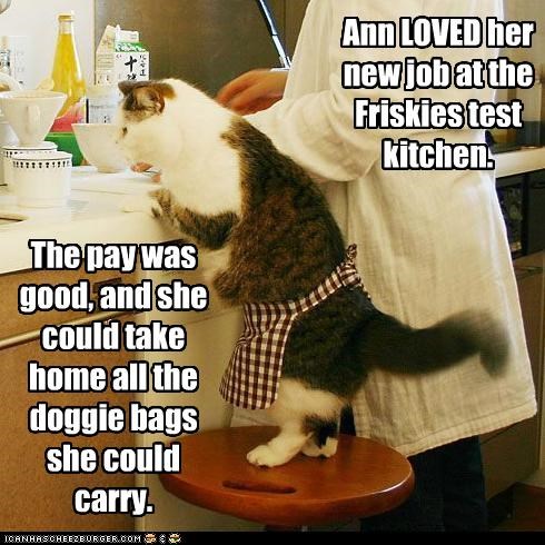 Ann LOVED her new job at the Friskies test kitchen.