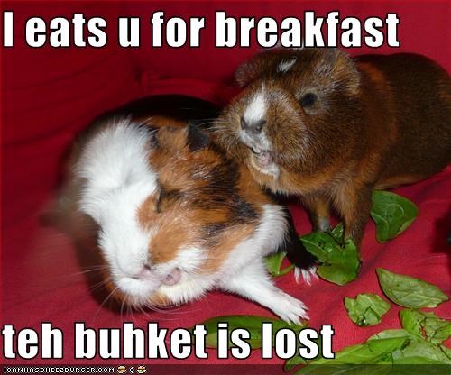 I eats u for breakfast  teh buhket is lost