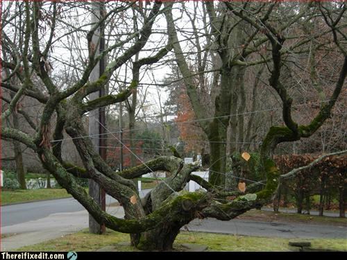 Stumbled Across Squirrel Espionage Training Facility