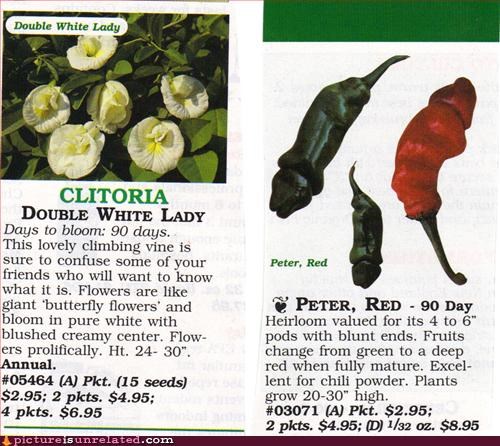 "Jala-p33ñ-os" and "The Double White Lady" are always in season