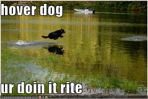 hover dog  ur doin it rite