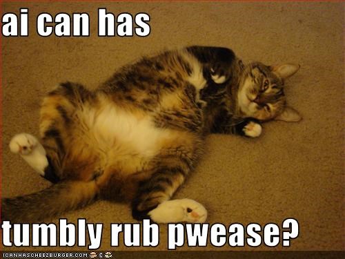 ai can has  tumbly rub pwease?