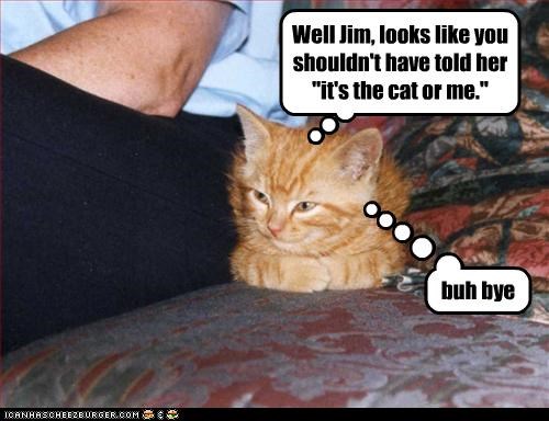 Well Jim, looks like you shouldn't have told her 
"it's the cat or me."