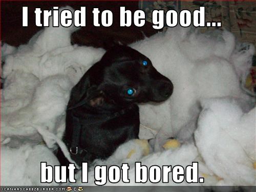 I tried to be good...  but I got bored.