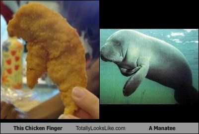 This Chicken Finger Totally Looks Like A Manatee