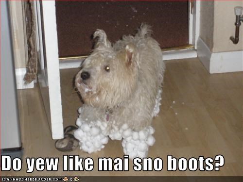 Do yew like mai sno boots?