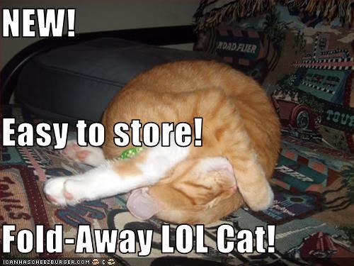 NEW! Easy to store! Fold-Away LOL Cat!