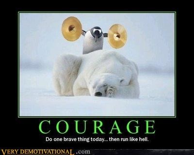 Where Did That Penguin Get Cymbals