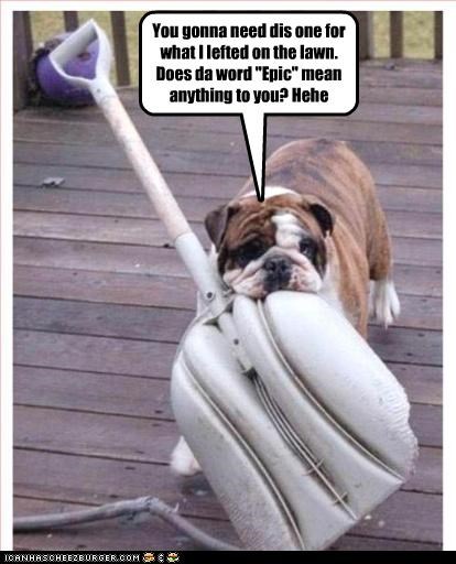 You gonna need dis one for what I lefted on the lawn. Does da word "Epic" mean anything to you? Hehe
