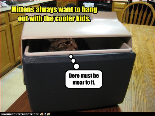 Mittens always want to hang out with the cooler kids.