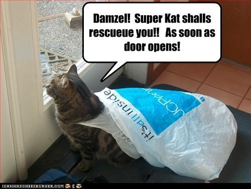 Damzel!  Super Kat shalls rescueue you!!   As soon as door opens!