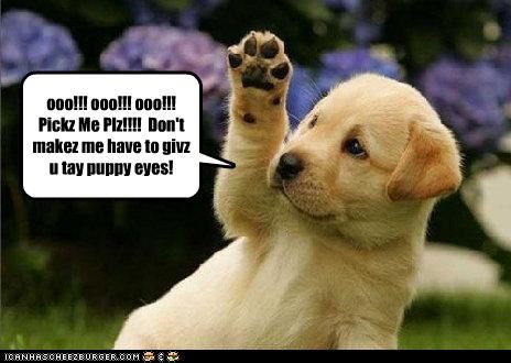 ooo!!! ooo!!! ooo!!!
Pickz Me Plz!!!!  Don't makez me have to givz u tay puppy eyes!