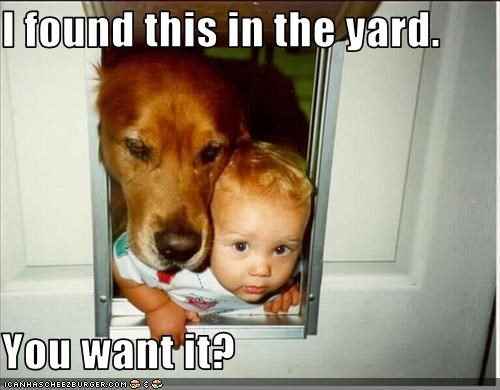 I found this in the yard.  You want it?