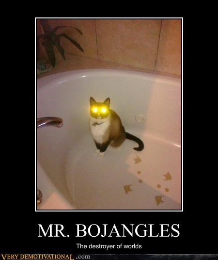 Beware of Bojangles